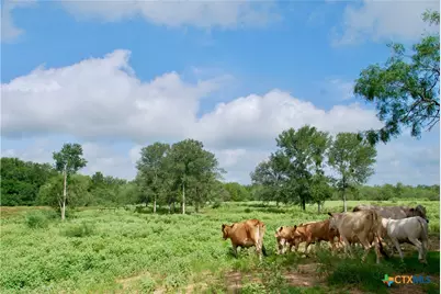 9590 Maynard Hallmark Road, Flatonia, TX 78941 - Photo 13