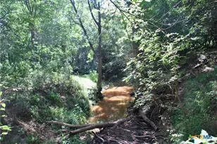 9590 Maynard Hallmark Rd, Flatonia, TX 78941 - Photo 21