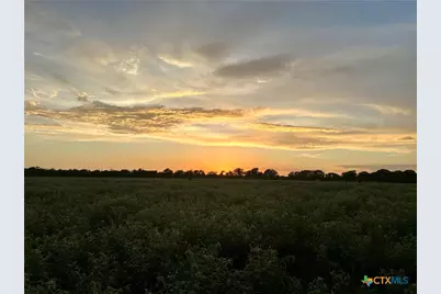 9590 Maynard Hallmark Road, Flatonia, TX 78941 - Photo 29