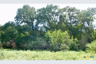 9590 Maynard Hallmark Road, Flatonia, TX 78941 - Photo 19