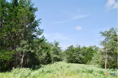 9590 Maynard Hallmark Road, Flatonia, TX 78941 - Photo 43