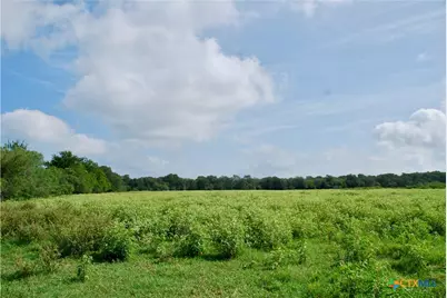 9590 Maynard Hallmark Road, Flatonia, TX 78941 - Photo 37