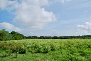 9590 Maynard Hallmark Rd, Flatonia, TX 78941 - Photo 37
