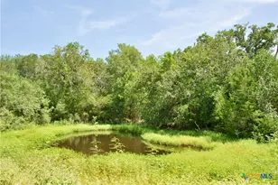 9590 Maynard Hallmark Rd, Flatonia, TX 78941 - Photo 33