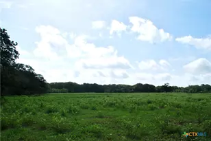 9590 Maynard Hallmark Rd, Flatonia, TX 78941 - Photo 23