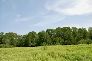 9590 Maynard Hallmark Rd, Flatonia, TX 78941 - Photo 33