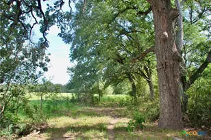 9590 Maynard Hallmark Rd, Flatonia, TX 78941 - Photo 27