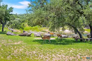 690 Kings Point Dr, Canyon Lake, TX 78133 - Photo 47