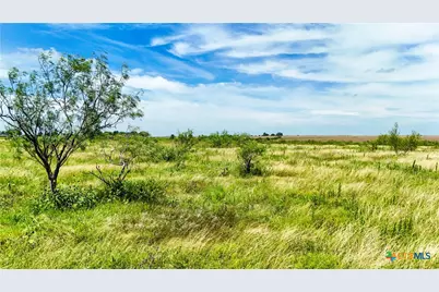 Tbd Arthur Cemetery Road, Troy, TX 76579 - Photo 7