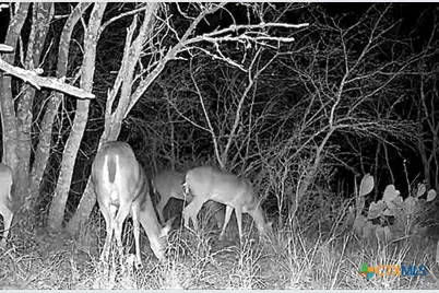 736 County Road 421, Waelder, TX 78959 - Photo 9