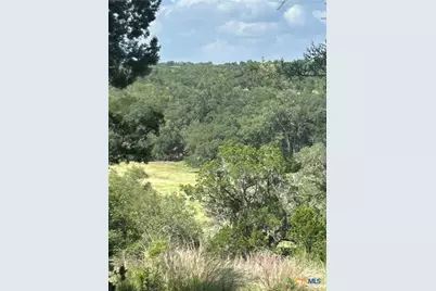 856 Lime Rock Avenue, Canyon Lake, TX 78133 - Photo 5