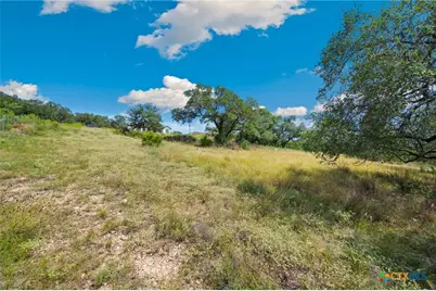 428 Cavy Road, New Braunfels, TX 78132 - Photo 7