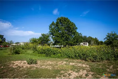 308 Alysia Circle, New Braunfels, TX 78130 - Photo 9