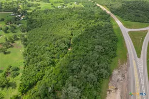 000 Hwy 87 N St, Cuero, TX 77954 - Photo 9