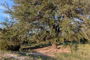 20440 Brooking Rd, Killeen, TX 76542 - Photo 11