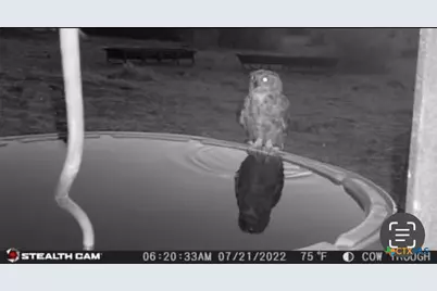 20440 Brooking Road, Killeen, TX 76542 - Photo 17