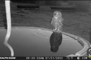 20440 Brooking Rd, Killeen, TX 76542 - Photo 17