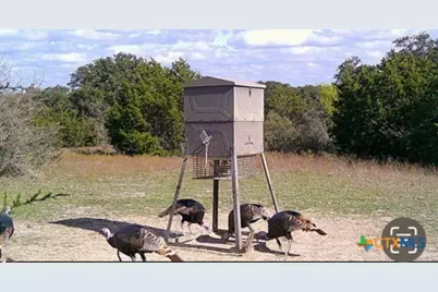 20440 Brooking Road, Killeen, TX 76542 - Photo 21