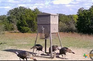 20440 Brooking Rd, Killeen, TX 76542 - Photo 21