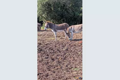 20440 Brooking Road, Killeen, TX 76542 - Photo 23