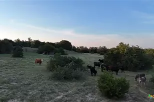 20440 Brooking Rd, Killeen, TX 76542 - Photo 11