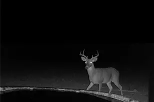 20440 Brooking Rd, Killeen, TX 76542 - Photo 19