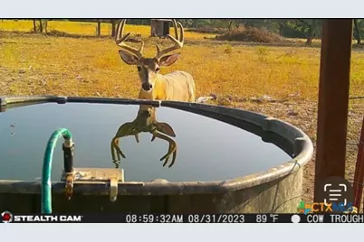 20440 Brooking Road, Killeen, TX 76542 - Photo 19