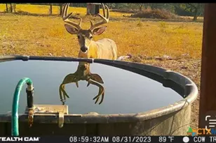 20440 Brooking Rd, Killeen, TX 76542 - Photo 19