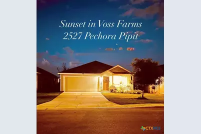 2527 Pechora Pipit, New Braunfels, TX 78130 - Photo 23