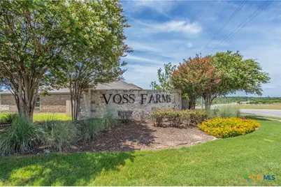 2527 Pechora Pipit, New Braunfels, TX 78130 - Photo 19