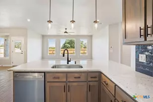 2533 Tin Barn Bluff, Belton, TX 76513 - Photo 5