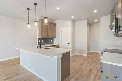 2533 Tin Barn Bluff, Belton, TX 76513 - Photo 9