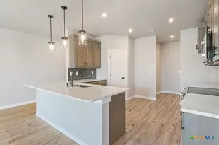 2533 Tin Barn Bluff, Belton, TX 76513 - Photo 9