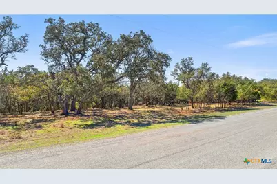 111 La Luna Drive, Blanco, TX 78606 - Photo 9