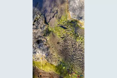 111 La Luna Drive, Blanco, TX 78606 - Photo 5