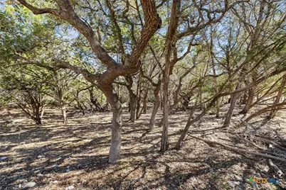 111 La Luna Drive, Blanco, TX 78606 - Photo 17