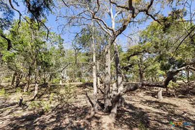 111 La Luna Drive, Blanco, TX 78606 - Photo 19