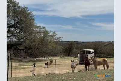 880 County Road 3100, Kempner, TX 76539 - Photo 19