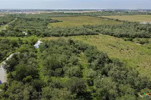 Tbd E Fm 78, Marion, TX 78124 - Photo 13