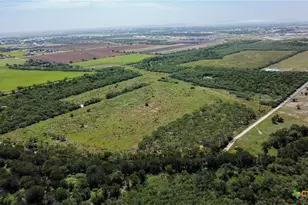 Tbd E Fm 78, Marion, TX 78124 - Photo 3