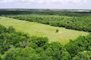 Tbd Lcr 663, Kosse, TX 76653 - Photo 7