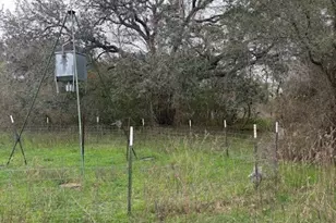 2082 FM318, Hallettsville, TX 77964 - Photo 35