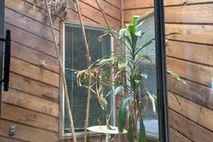 2082 FM318, Hallettsville, TX 77964 - Photo 9