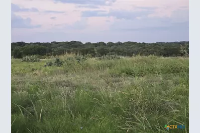 165 Guadalupe Drive, Oglesby, TX 76561 - Photo 3