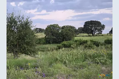 165 Guadalupe Drive, Oglesby, TX 76561 - Photo 5