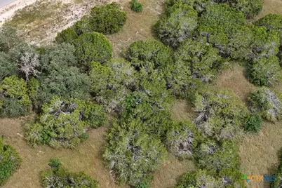 1754 Paradise Parkway, Canyon Lake, TX 78133 - Photo 17