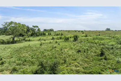 Tbd Moss Springs Road, Kosse, TX 76653 - Photo 15