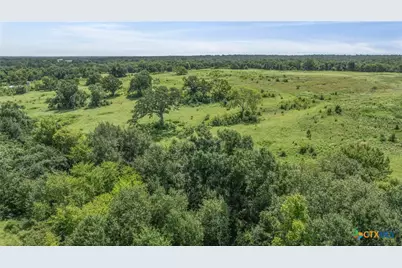 Tbd Moss Springs Road, Kosse, TX 76653 - Photo 13