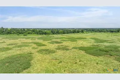 Tbd Moss Springs Road, Kosse, TX 76653 - Photo 19