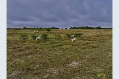 000 Fm 237, Yorktown, TX 78164 - Photo 11